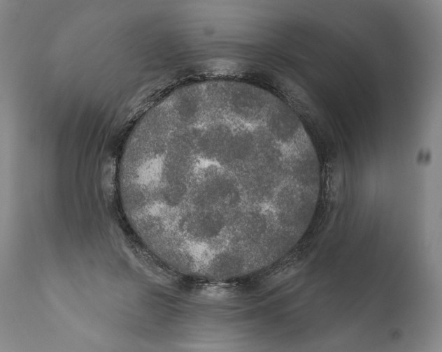 X0000110760550200907061057