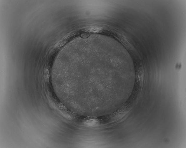 X0000110760551200907061057