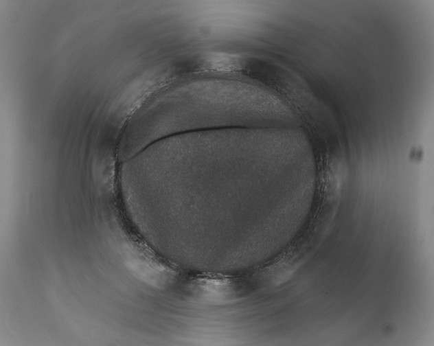 X0000110760552200907061057