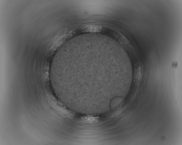 X0000110760553200907061057