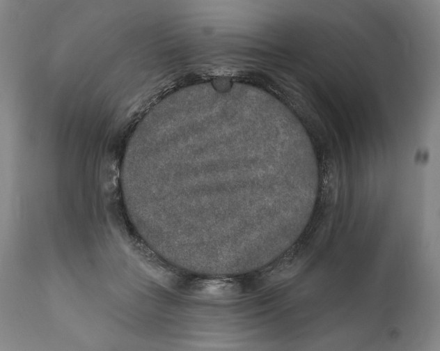 X0000110760555200907061058