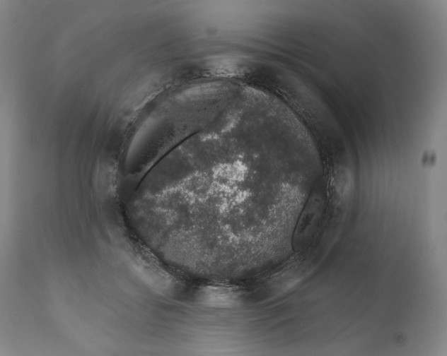 X0000110760556200907061058