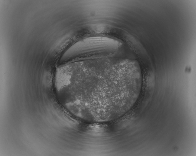 X0000110760558200907061058