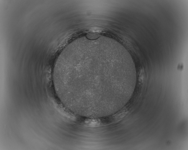 X0000110760559200907061058