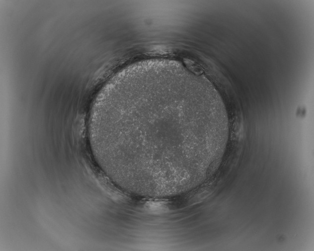 X0000110760560200907061058