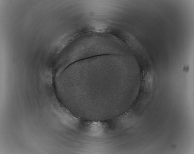 X0000110760562200907061058