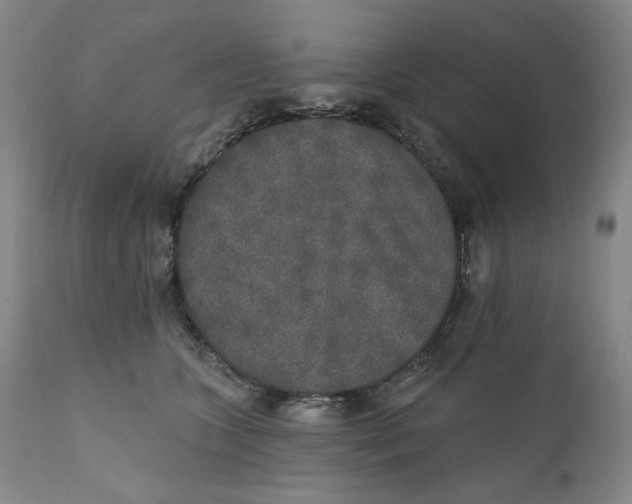 X0000110760563200907061058