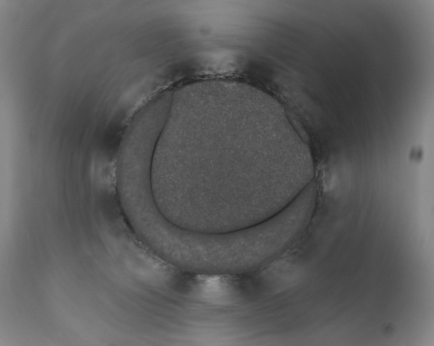 X0000110760564200907061058