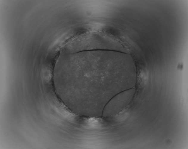 X0000110760566200907061058