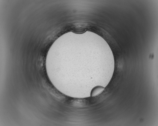 X0000110760567200907061058