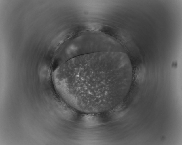 X0000110760568200907061058