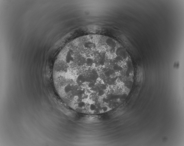 X0000110760569200907061058
