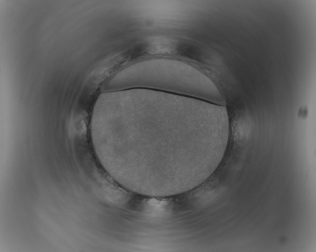 X0000110760570200907061058