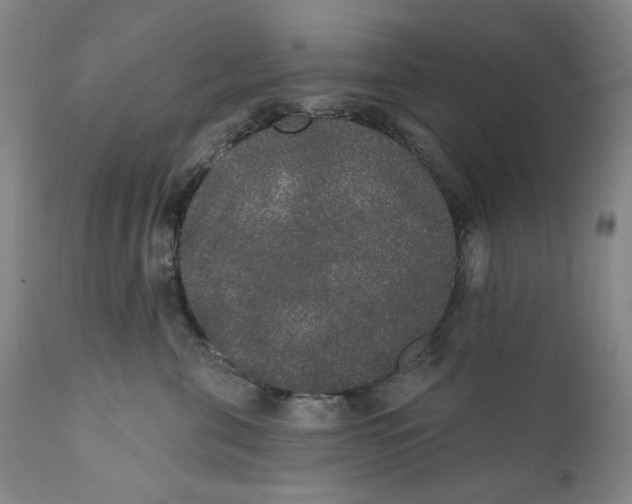 X0000110760571200907061058