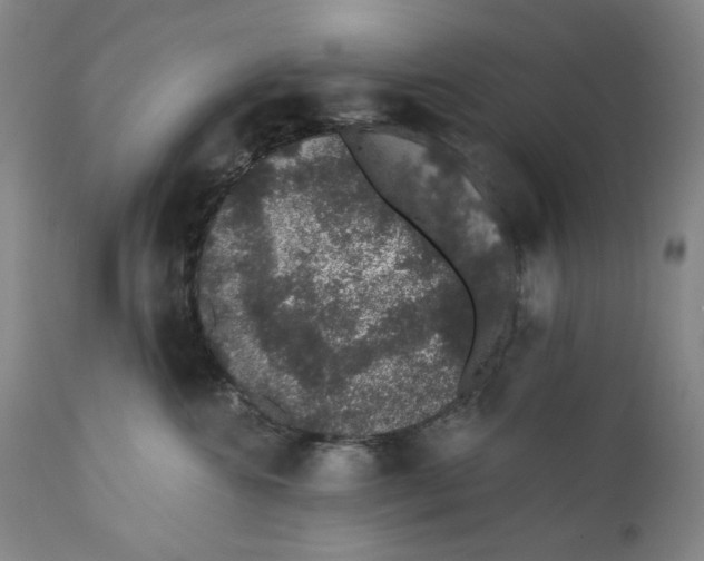 X0000110760572200907061058