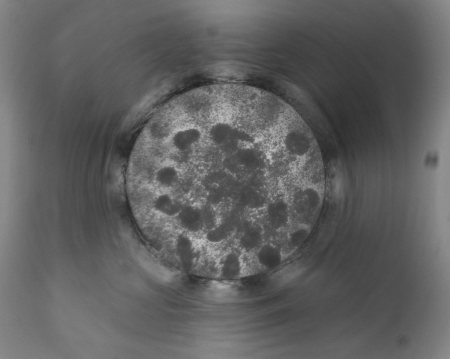 X0000110760573200907061058