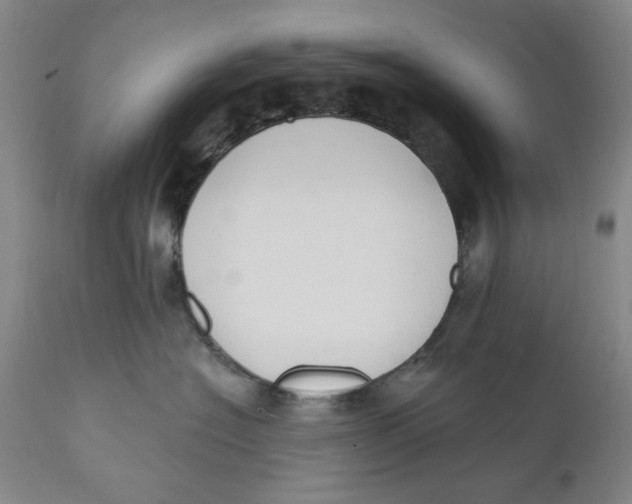 X0000110760574200907061058