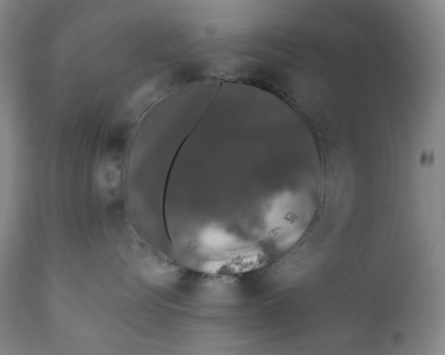 X0000110760576200907061058