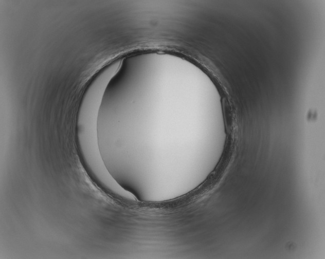 X0000110760577200907061057