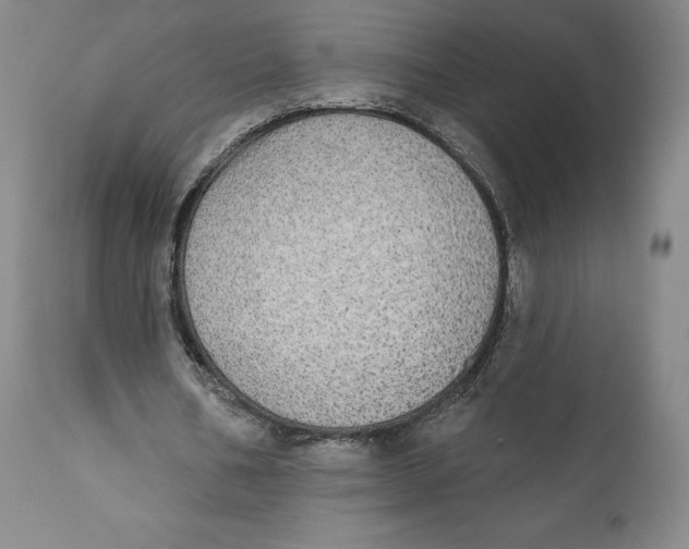 X0000110760578200907061057