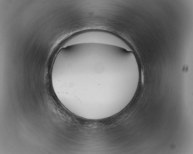 X0000110760579200907061057