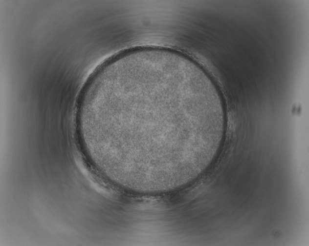 X0000110760580200907061057