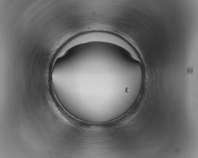 X0000110760581200907061057
