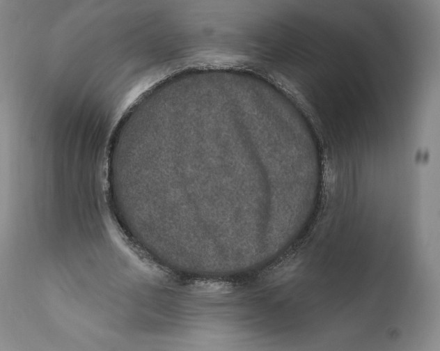 X0000110760582200907061057