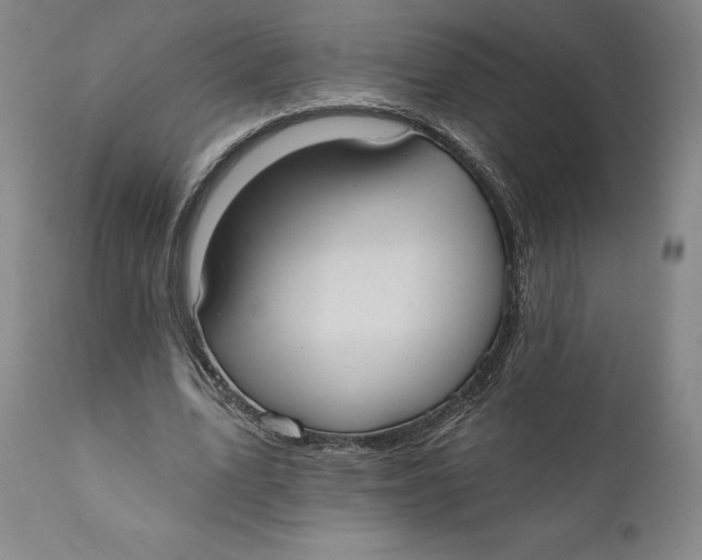 X0000110760583200907061057