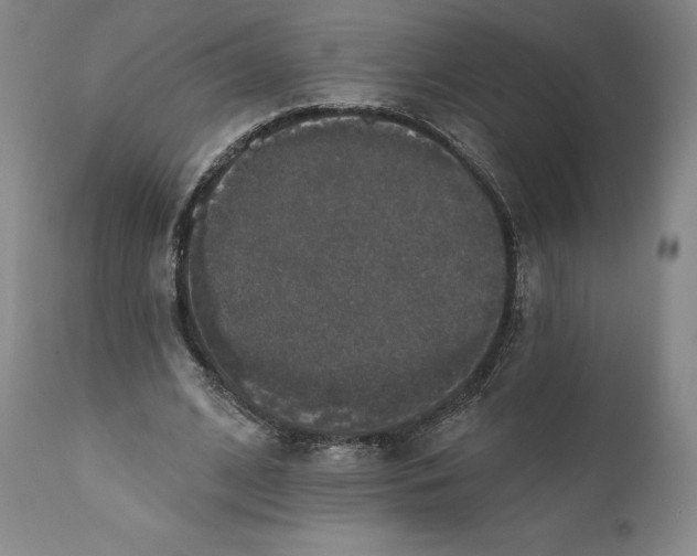X0000110760584200907061057