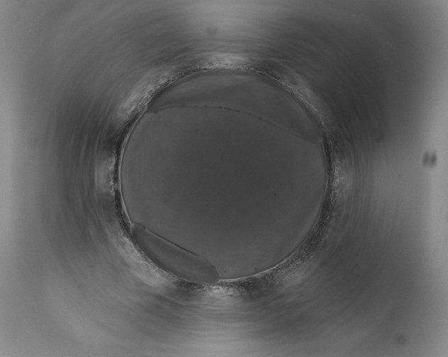 X0000110760585200907061057