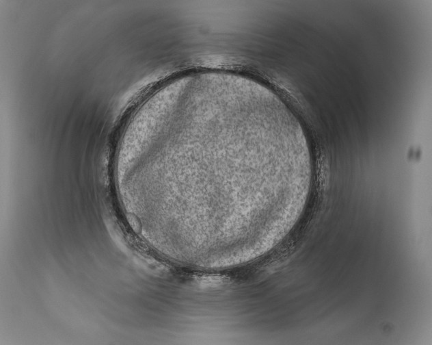 X0000110760587200907061057