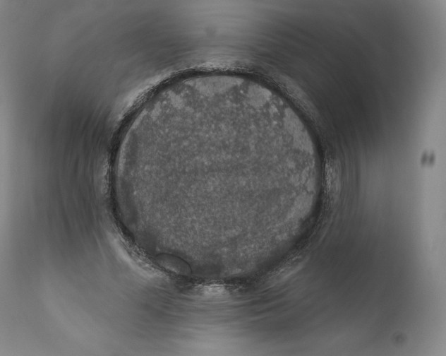 X0000110760588200907061057