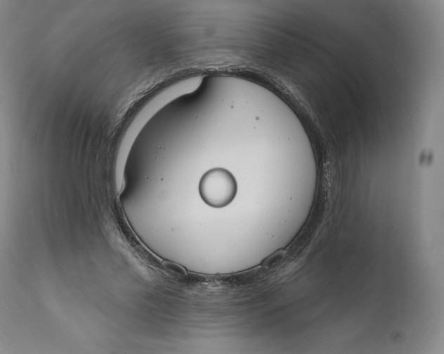 X0000110760589200907061057