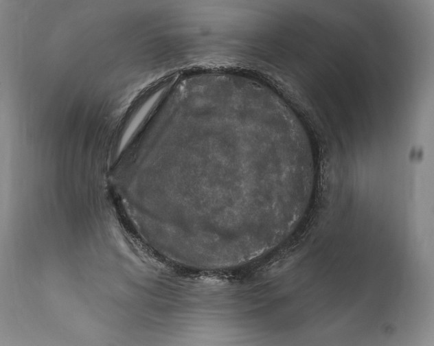 X0000110760592200907061057