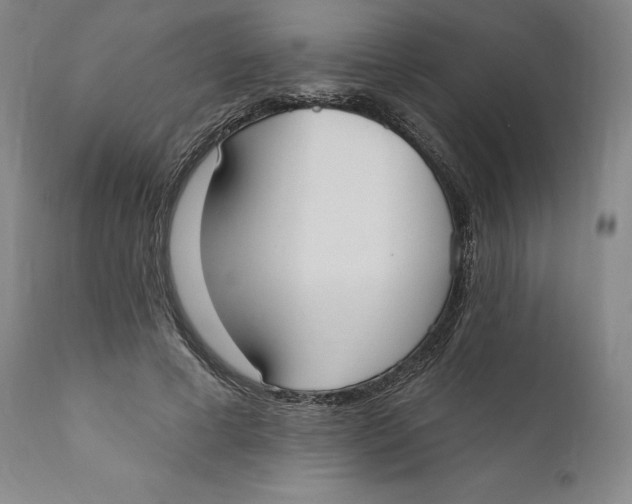 X0000110760593200907061057
