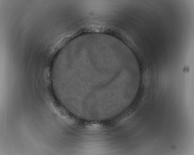 X0000110760594200907061057
