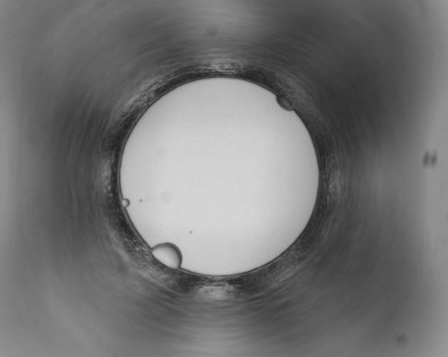 X0000110760595200907061057