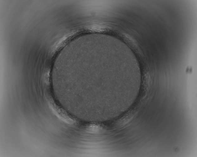 X0000110760596200907061057