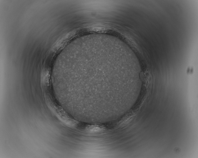 X0000110760597200907061057