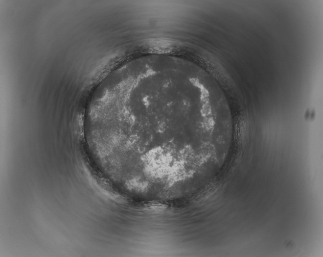X0000110760598200907061057