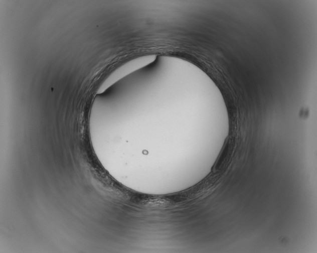 X0000110760599200907061057
