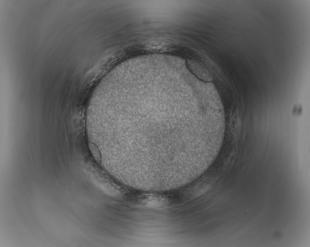 X0000110760601200907061057