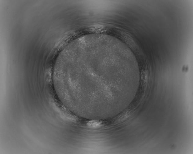 X0000110760602200907061057