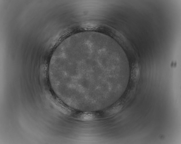 X0000110760604200907061057