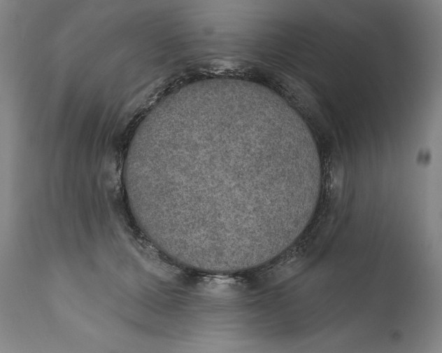 X0000110760607200907061057