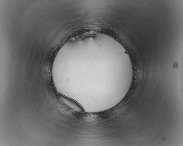 X0000110760609200907061057
