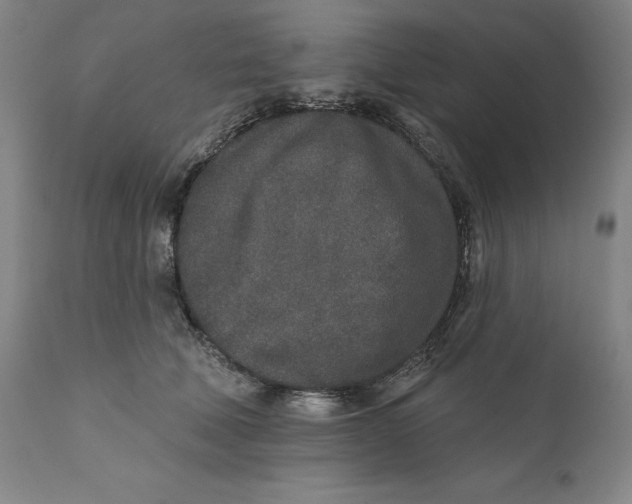 X0000110760610200907061057
