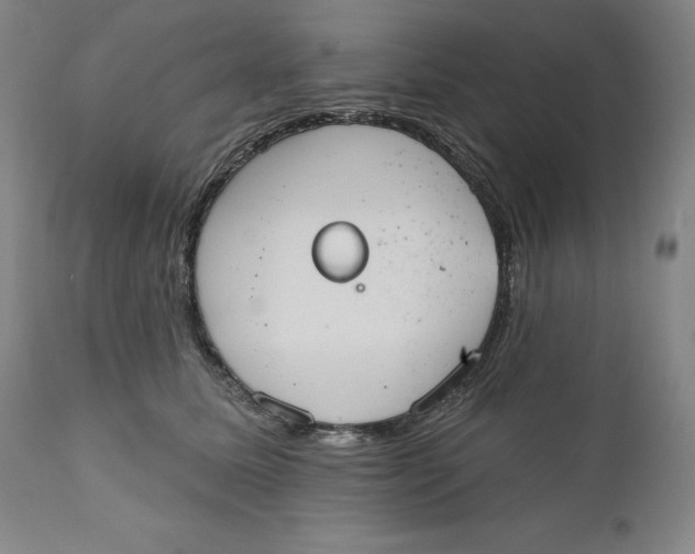 X0000110760611200907061056