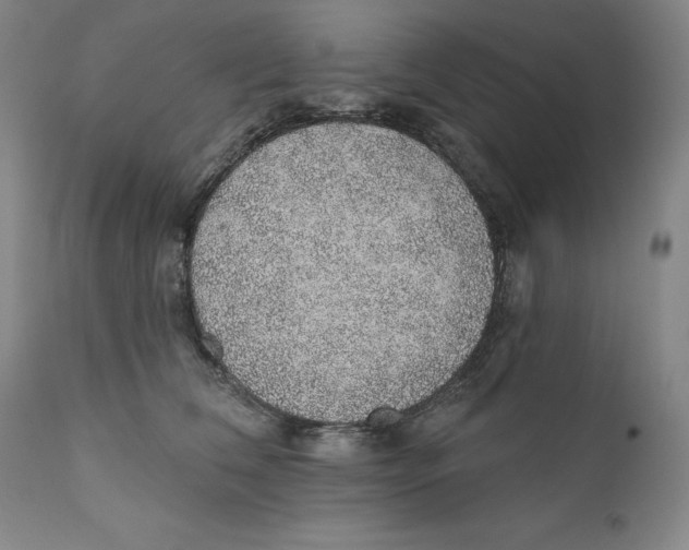 X0000110760612200907061056
